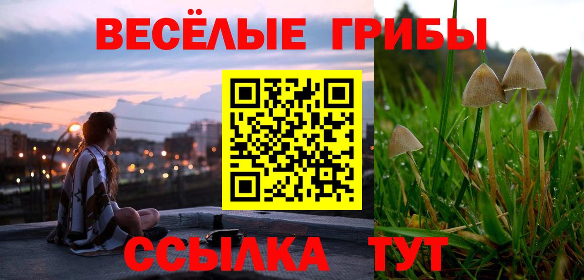 Тара  Галлюциногенные грибы ЛСД  Вход с VPN 
